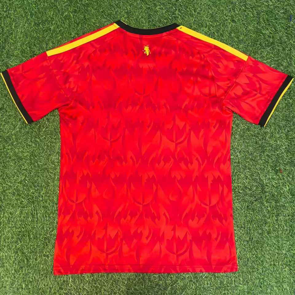 Belgica Fan Version 26/27