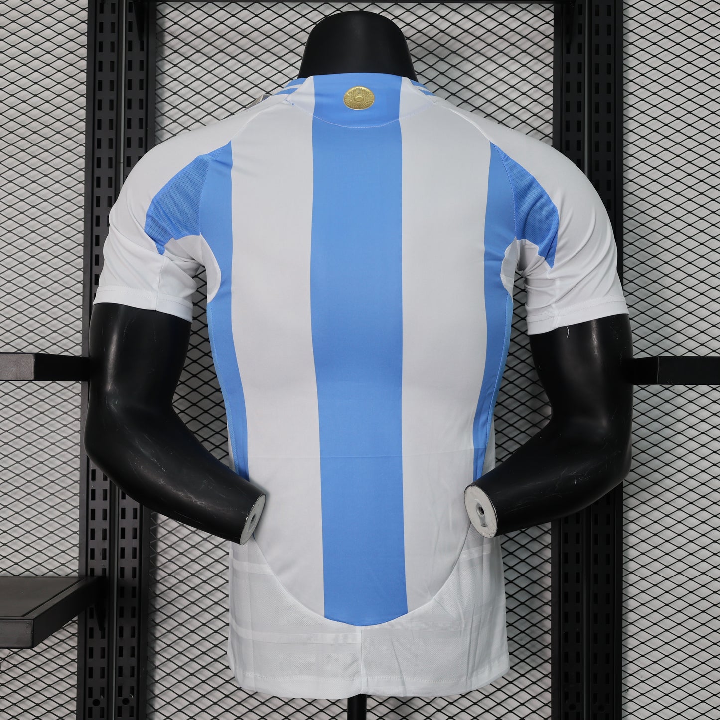 Argentina Player Version 24/25