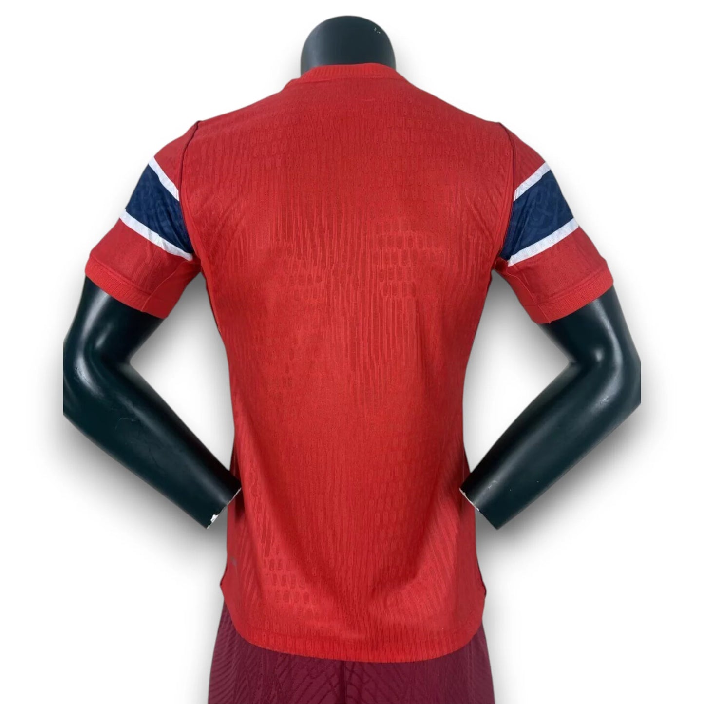Noruega Player Version 26/27