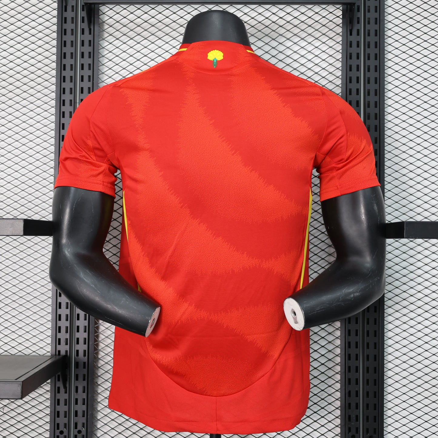 España Player Version 24/25