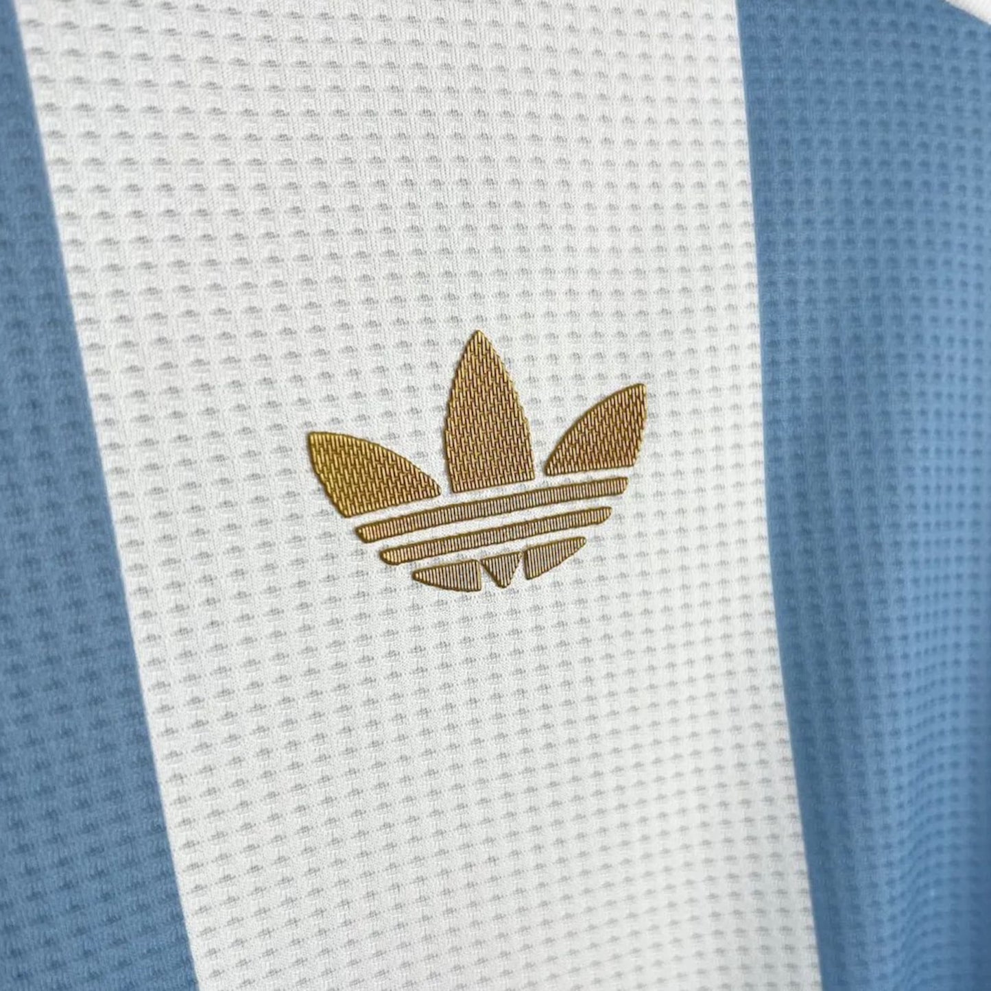 Argentina Player Version 24/25