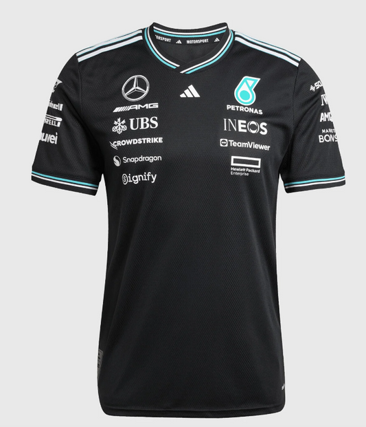 Formula 1 Mercedes Benz 2025