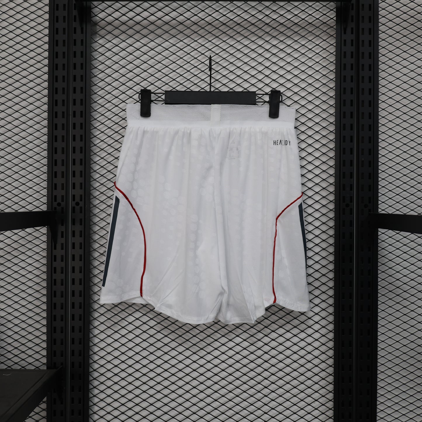 Short Bayern Munchen Player Version 25/26