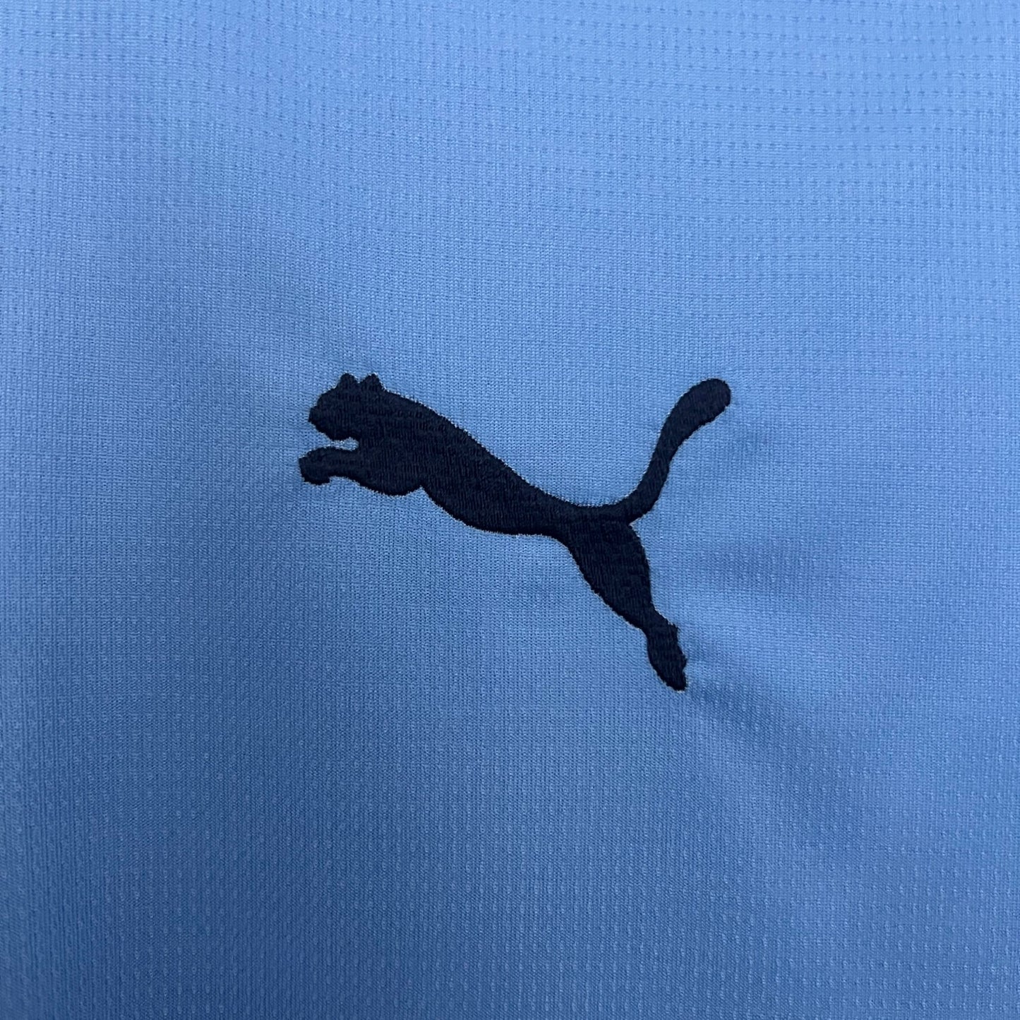 Manchester City Fan Version 25/26