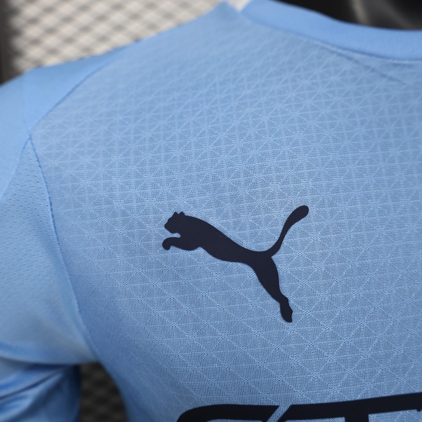 Manchester City Player Version 25/26