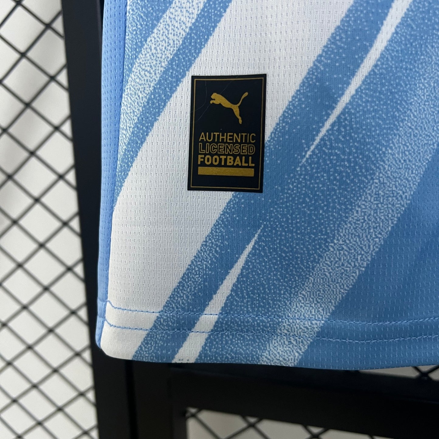 Manchester City Fan Version 25/26