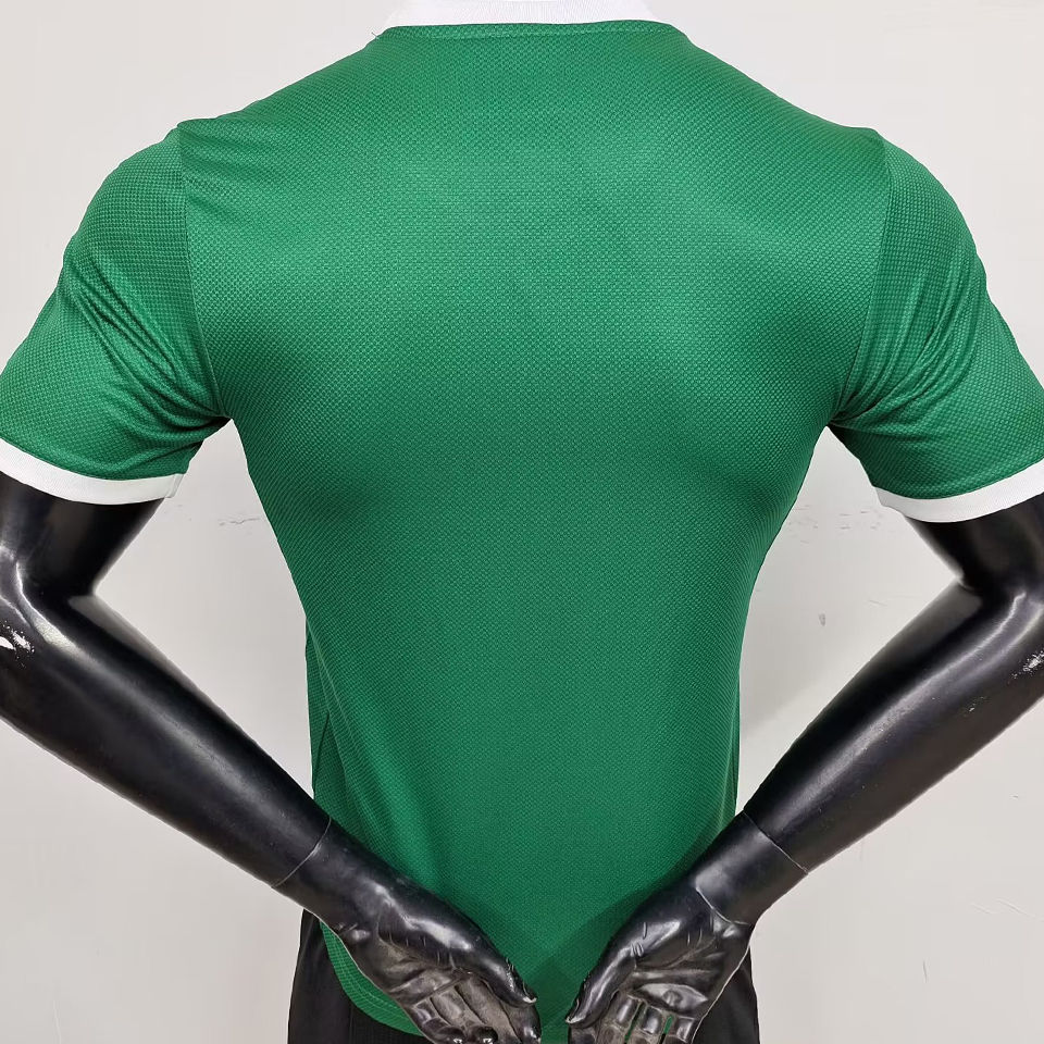 Palmeiras Player Version 25/26
