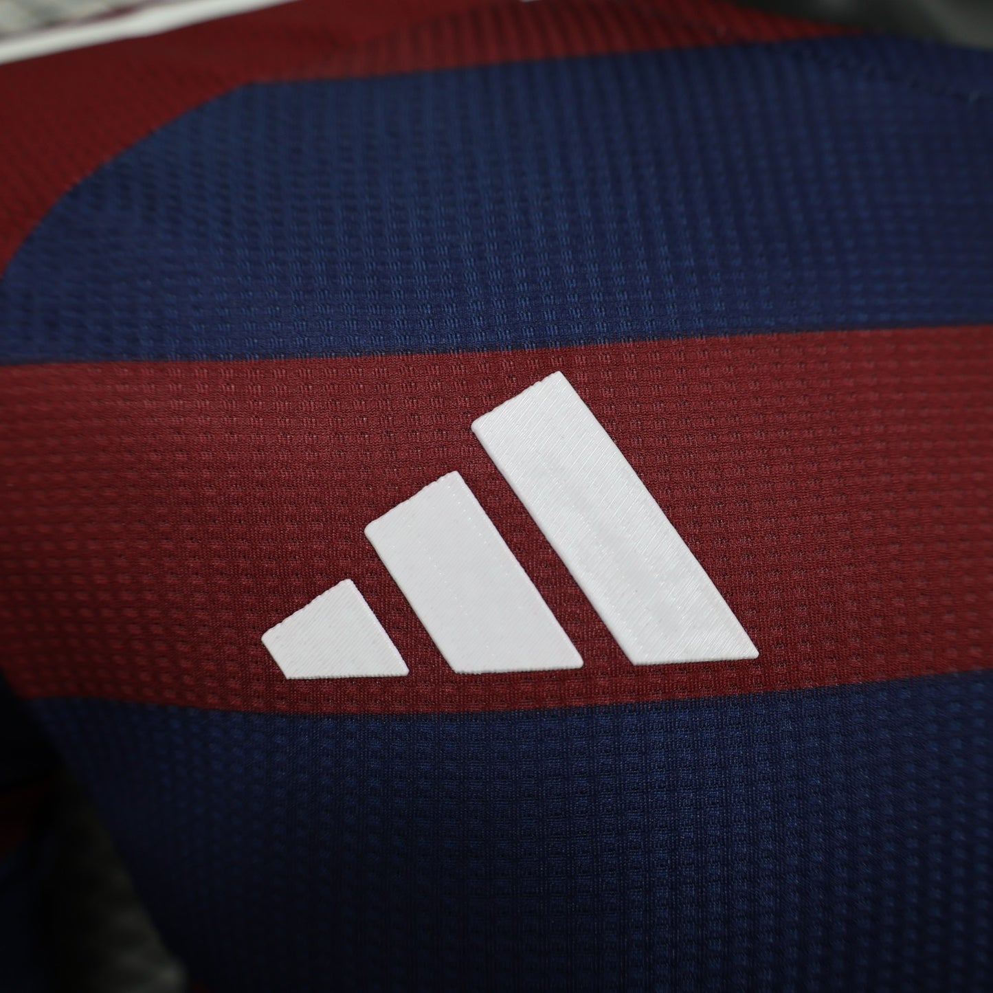 Newcastle Player Version 24/25