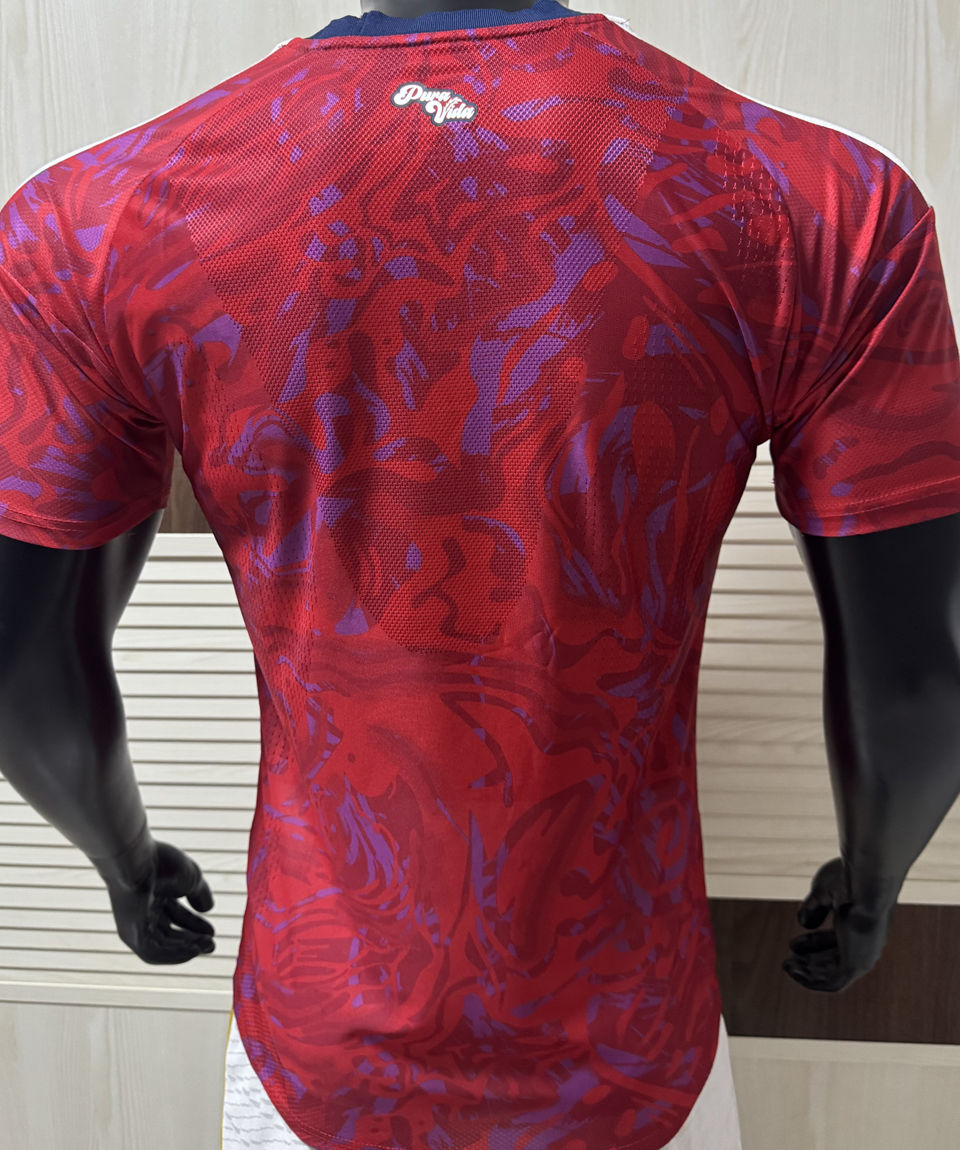 Costa Rica Player Version 26/27