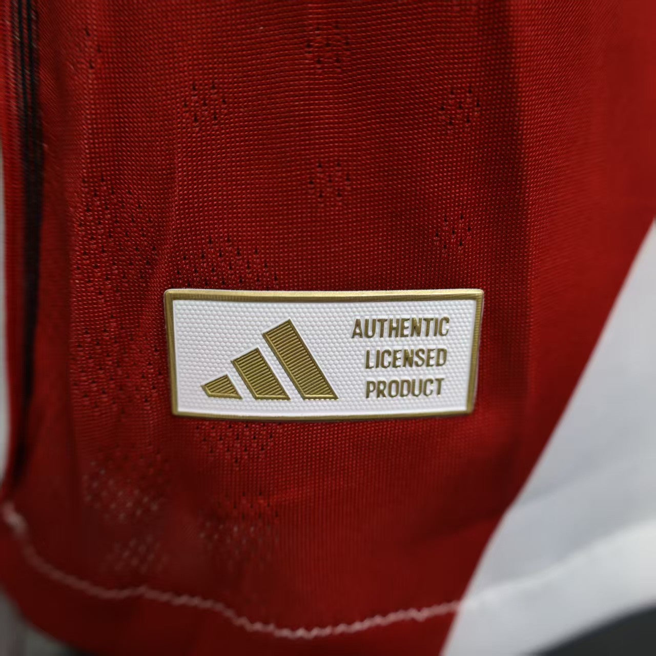 River Plate Player Version 25/26