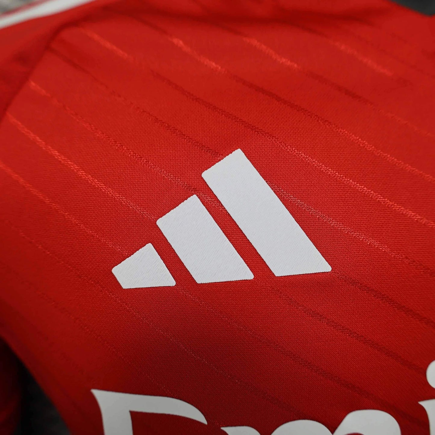 Benfica Player Version 25/26