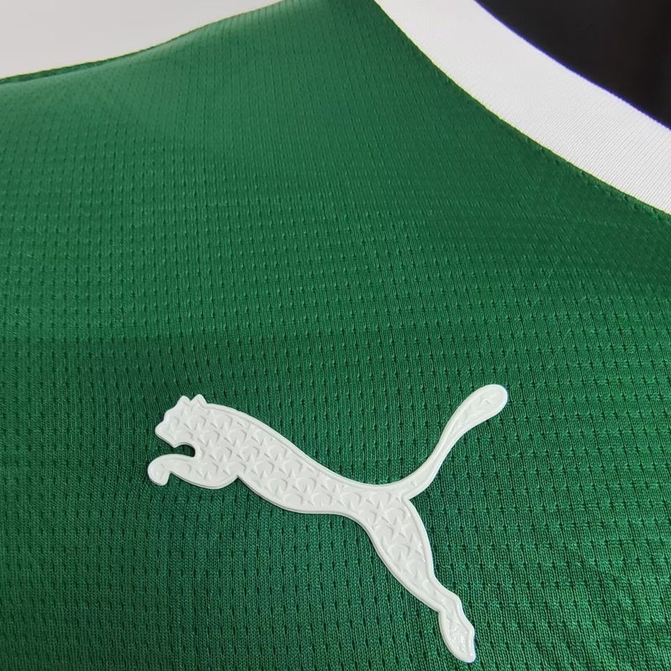 Palmeiras Player Version 25/26